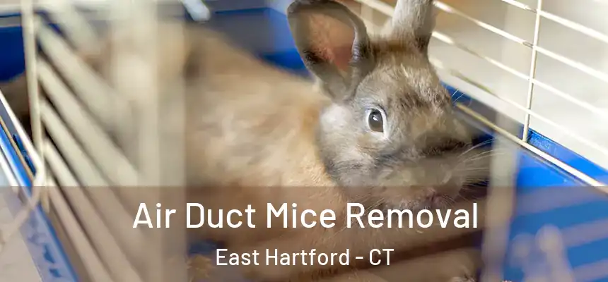Air Duct Mice Removal East Hartford - CT