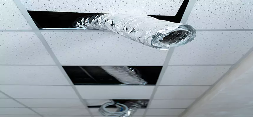 Affordable HVAC Sanitizing After Pest Removal in East Hartford