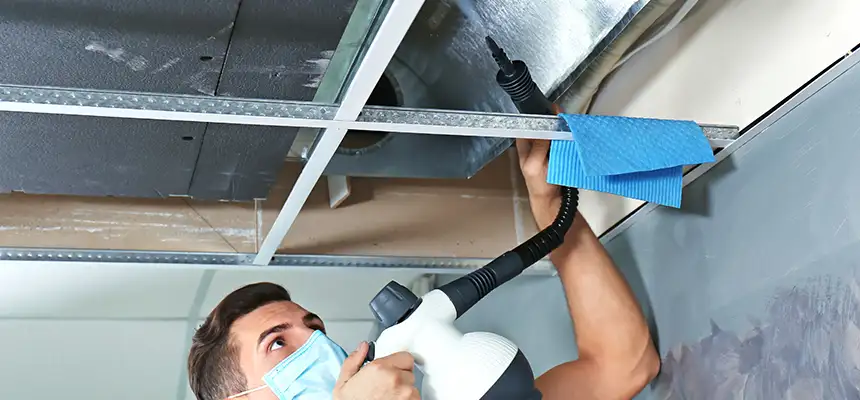 Our Air Duct Rodent Removal Services in East Hartford, CT