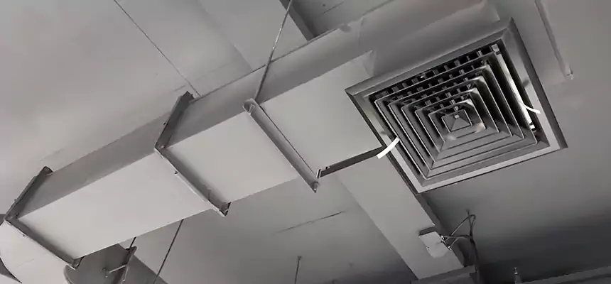 Restorative Allergy Relief Vent Cleaning – Coil, Blower & Housing Detail in East Hartford