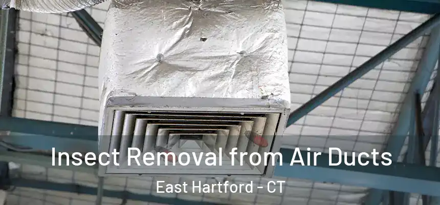  Insect Removal from Air Ducts East Hartford - CT