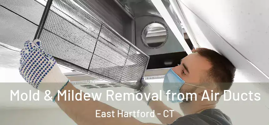 Mold & Mildew Removal from Air Ducts East Hartford - CT