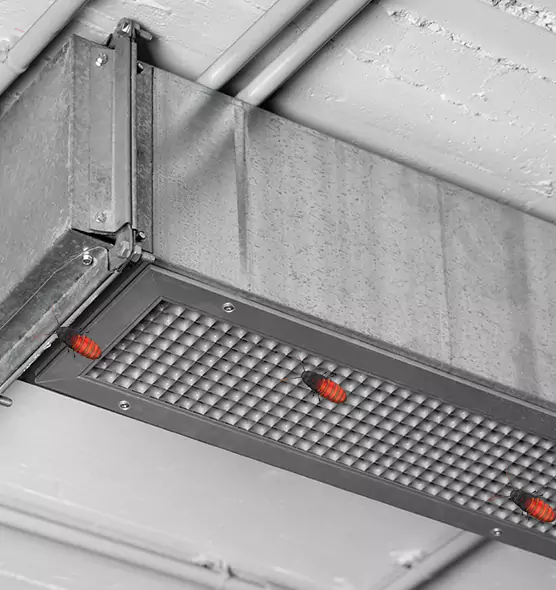 About Air Duct Cockroach Removal in East Hartford, CT