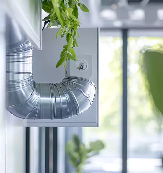 Professional Eco-Safe Dryer Vent Cleaning in East Hartford, CT