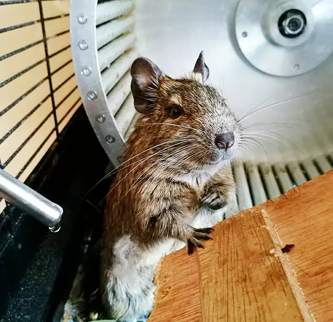 Why Homeowners & Businesses Trust Us East Hartford, CT