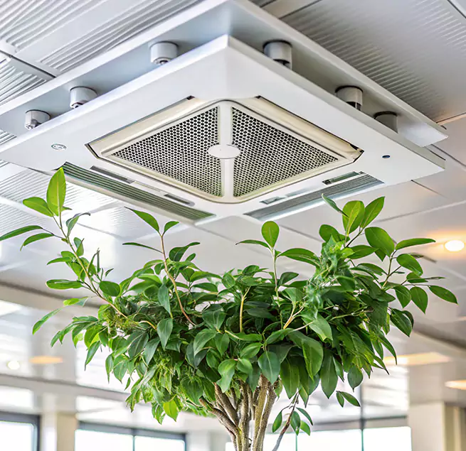 Why Homeowners & Businesses Trust Us in East Hartford, CT?